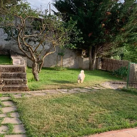 Casa Bailas 펜션 *