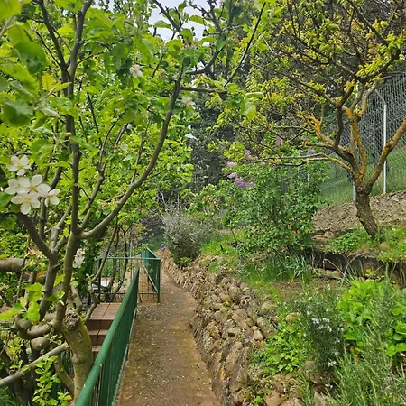 Feriehus Casa Bailas *